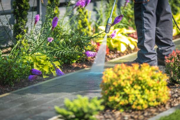 Best Restaurant Pressure Washing  in Powderly, TX